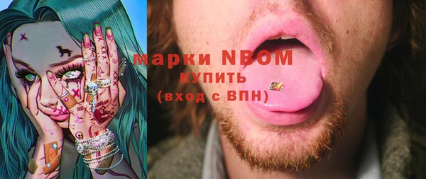 дмт Алзамай