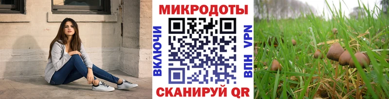 Галлюциногенные грибы мухоморы  купить наркотики сайты  Сертолово 